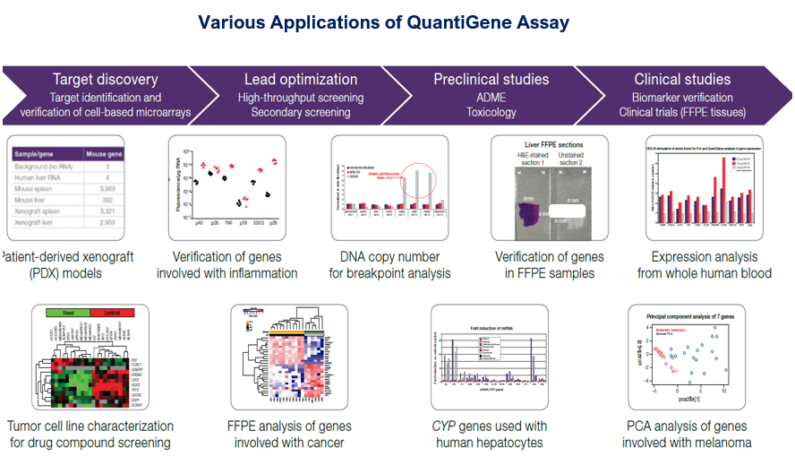 QuantiGene Assay applications
