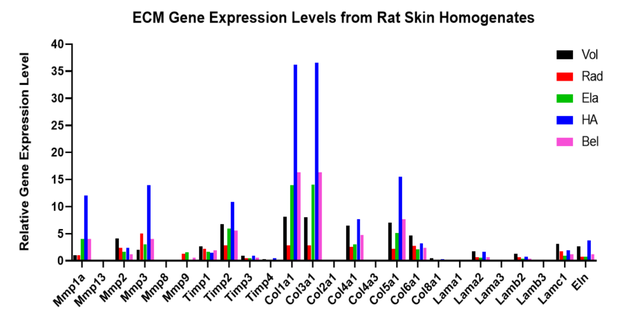 Bar graph showing extracellular matrix (ECM) gene expression levels in rat skin samples after various treatments